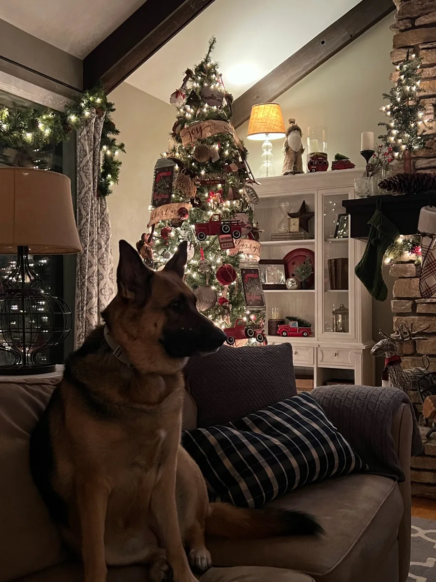 A detailed family-room Christmas tree filled with warm light, ribbon, and meaningful ornaments.